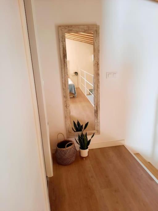 Ferienwohnung Loft Centrico Con Patio Bodega San Javier Jerez de la Frontera Exterior foto