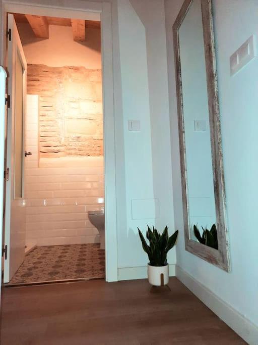 Ferienwohnung Loft Centrico Con Patio Bodega San Javier Jerez de la Frontera Exterior foto
